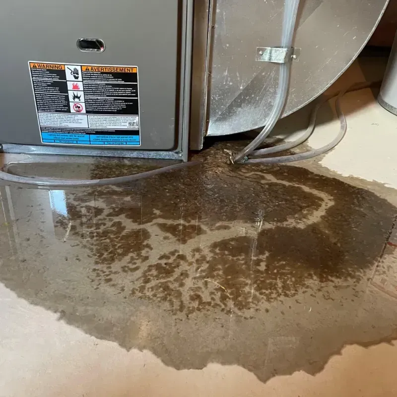 Appliance Leak Cleanup in Tinley Park, IL